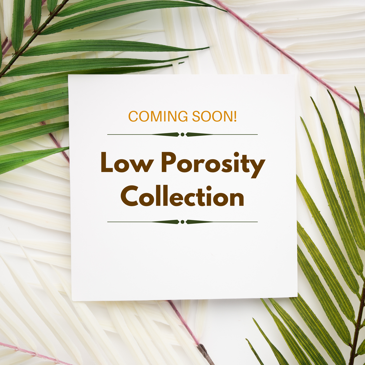 Low Porosity Hair Collection